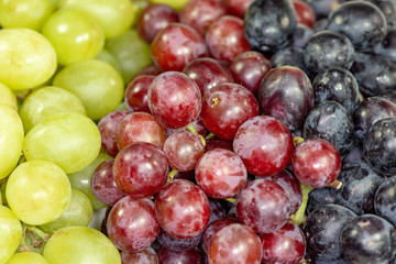 Black, red, green seedless grapes in a deep white bowl on a white tale waiting to be eaten