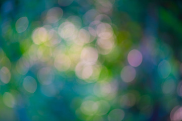 Obraz premium 丸ボケ 背景 緑 葉 朝