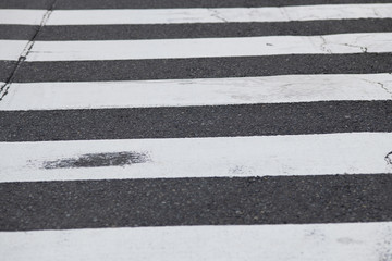 横断歩道