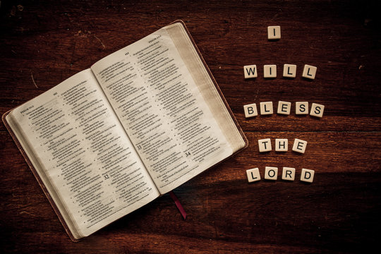 Flat lay of an open Bible and text