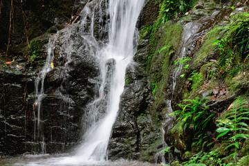 Fototapeta premium Beautiful nature waterfall in rain forest