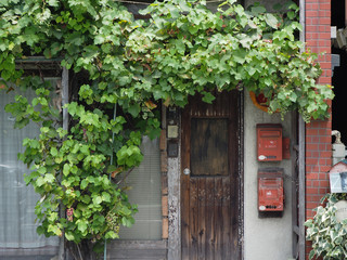 葡萄のある古い家の入口