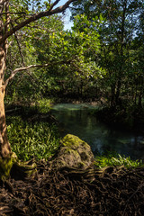 Tapom in Krabi Thailand