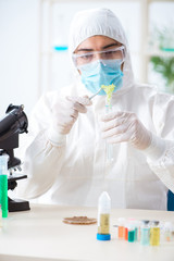 Fototapeta premium Male biochemist working in the lab on plants