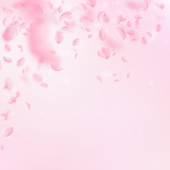 Sakura petals falling down. Romantic pink flowers falling rain. Flying petals on pink square background.