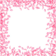 Fototapeta na wymiar Sakura petals falling down. Romantic pink silky medium flowers. Thick flying cherry petals.