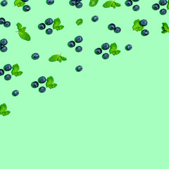 Blueberries and mints on a solid color background