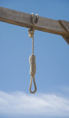 Single Noose