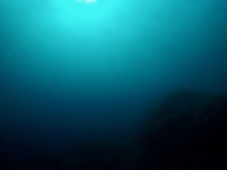 Fototapeta na wymiar Under Water - Hachijo Island, Tokyo, Japan