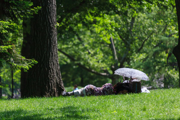 Central Park Street Story