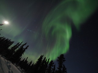 Northern Lights - Fairbanks, Alaska, US
