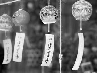 浅草　ほおずき市