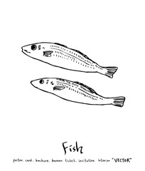 해산물 일러스트 / 손으로 그린 수산물 그림