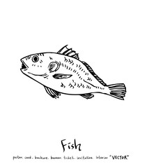 해산물 일러스트 / 손으로 그린 수산물 그림