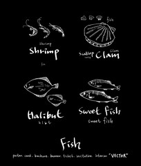 해산물 일러스트 / 손으로 그린 수산물 그림