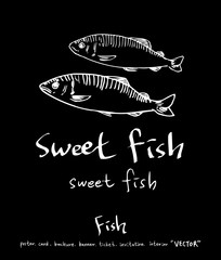 해산물 일러스트 / 손으로 그린 수산물 그림