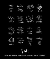 해산물 일러스트 / 손으로 그린 수산물 그림