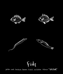 해산물 일러스트 / 손으로 그린 수산물 그림