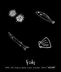 해산물 일러스트 / 손으로 그린 수산물 그림