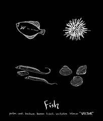 해산물 일러스트 / 손으로 그린 수산물 그림