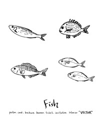 해산물 일러스트 / 손으로 그린 수산물 그림