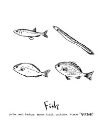 해산물 일러스트 / 손으로 그린 수산물 그림