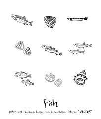 해산물 일러스트 / 손으로 그린 수산물 그림