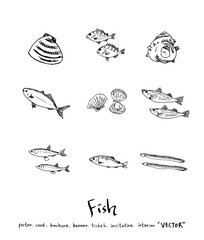 해산물 일러스트 / 손으로 그린 수산물 그림