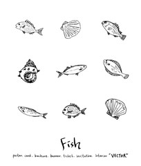 해산물 일러스트 / 손으로 그린 수산물 그림