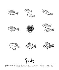 해산물 일러스트 / 손으로 그린 수산물 그림