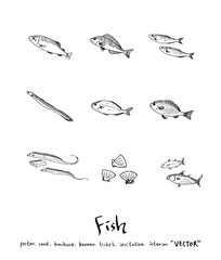 해산물 일러스트 / 손으로 그린 수산물 그림