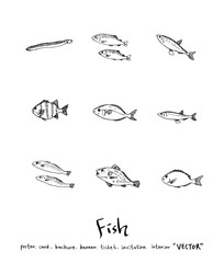 해산물 일러스트 / 손으로 그린 수산물 그림