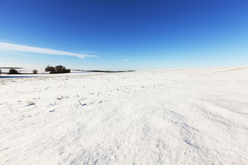 Fototapeta premium rural field covered with snow