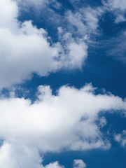 Fototapeta premium 東京の初夏の空