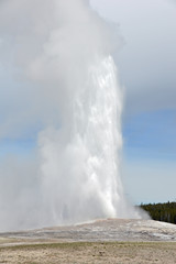 Old Faithful, a geothermal geyser erupting in Yellowstone National Park, Wyoming USA	