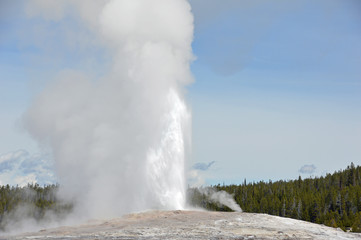 Old Faithful, a geothermal geyser erupting in Yellowstone National Park, Wyoming USA