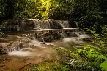 small two-tiered waterfall have fern in front