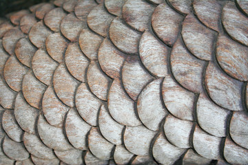 Carving wooden scale texture on background with engraving seamless crafts patterns 