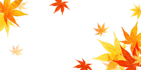 Obraz premium Jesienne liście tło jesień