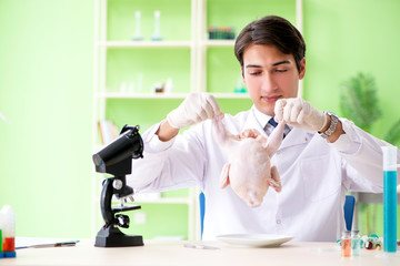 Lab assistant testing GMO chicken