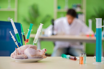 Lab assistant testing GMO chicken