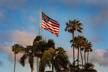 US Flag and Palm Trees