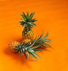 Fresh Pineapple In the orange background