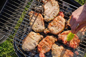 Barbecue grill with various kinds of meat. Placed on grass close up