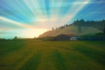 Fototapeta premium Country Livin '