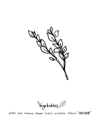 농산물 일러스트 / 손으로 그린 과일과 채소 그림