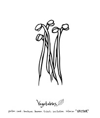 농산물 일러스트 / 손으로 그린 과일과 채소 그림