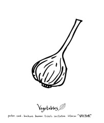 농산물 일러스트 / 손으로 그린 과일과 채소 그림