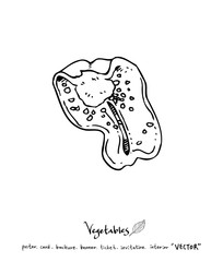 농산물 일러스트 / 손으로 그린 과일과 채소 그림