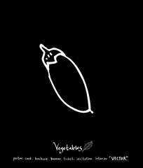 농산물 일러스트 / 손으로 그린 과일과 채소 그림